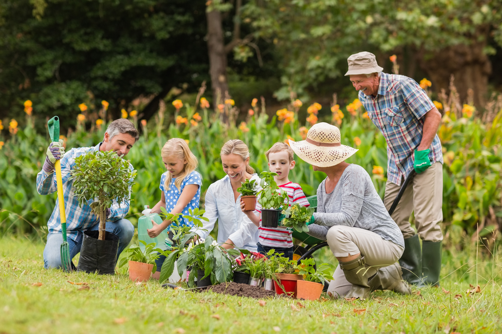 5 Benefits of Senior Gardening