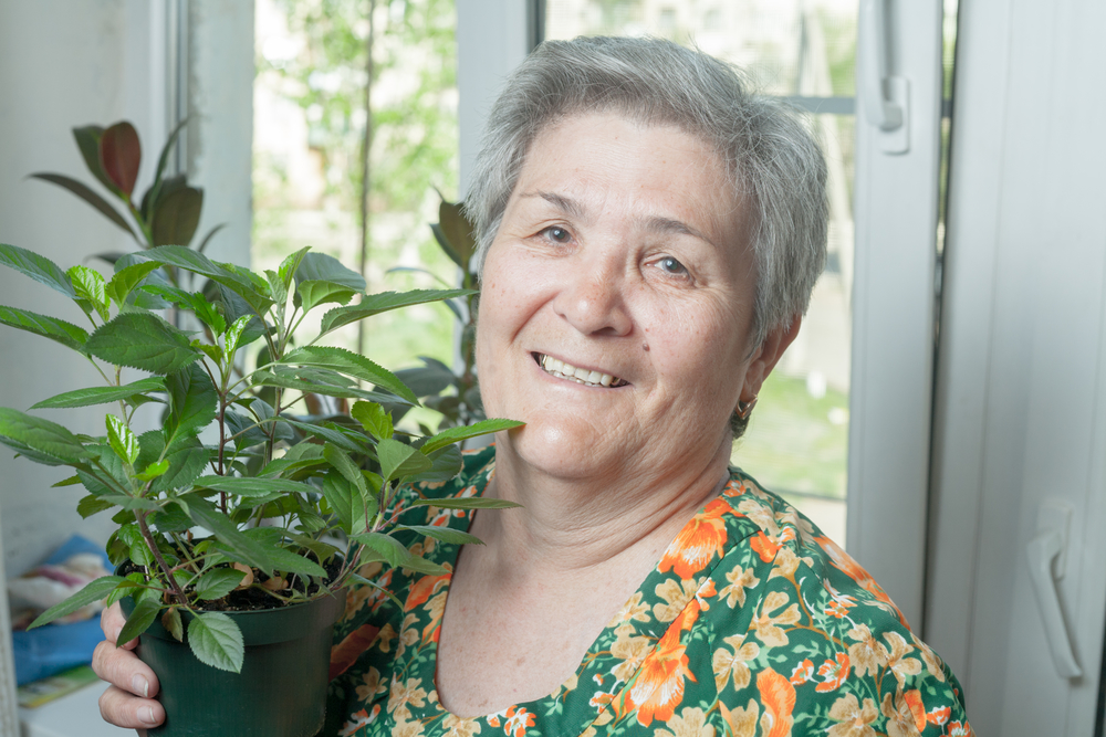 Recreation Therapy for Seniors: Indoor Gardening