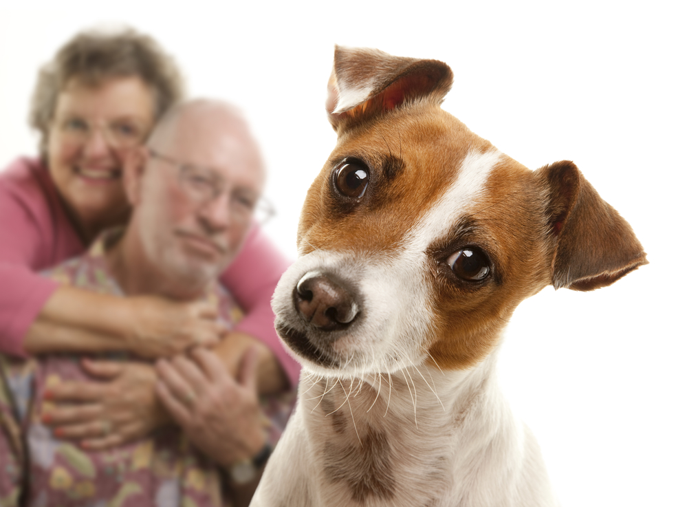 Pet Therapy for Seniors, Unlimited Care Cottages, Kingwood, Oak Ridge North, Spring, The Woodlands, TX